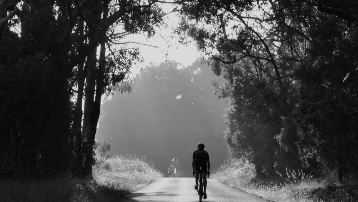 VP and Droidy Everest Box Hill