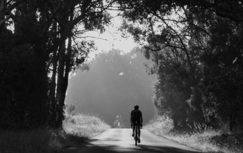 VP and Droidy Everest Box Hill