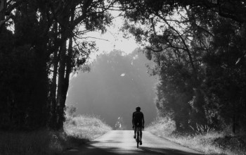 VP and Droidy Everest Box Hill